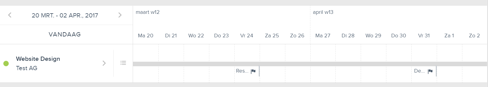 project planning feature - flag